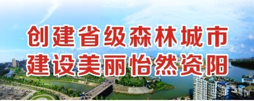 黄片我要我调教搞BB创建省级森林城市 建设美丽怡然资阳